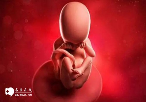 上海供精代生：﻿双子宫是什么情况，双子宫怎么治疗