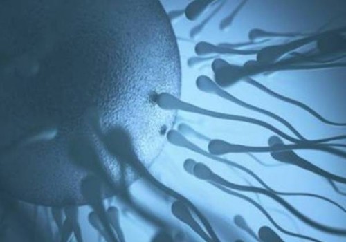 上海供卵代生：﻿新生儿身上起红疹怎么办,婴儿出疹子应该怎么预防