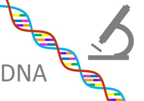 上海代怀生男孩价格：﻿做试管用不用结扎，得因人而异