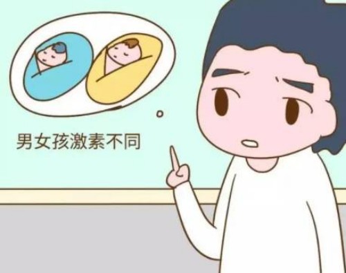 上海代怀服务：﻿日常健康饮食习惯，让你远离子宫内膜癌